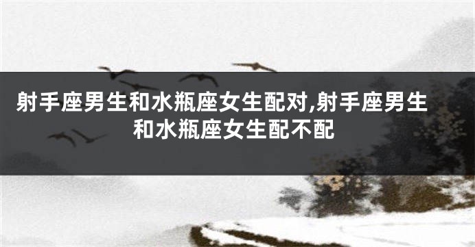 射手座男生和水瓶座女生配对,射手座男生和水瓶座女生配不配