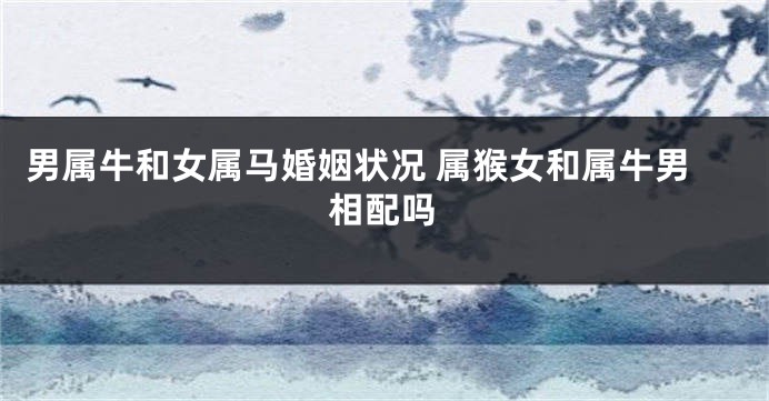 男属牛和女属马婚姻状况 属猴女和属牛男相配吗