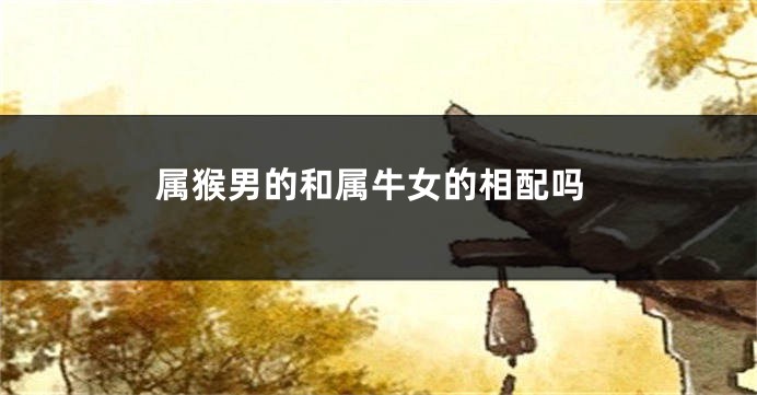 属猴男的和属牛女的相配吗