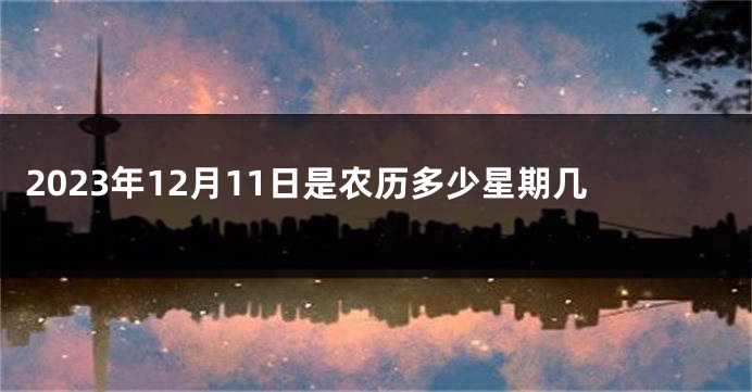 2023年12月11日是农历多少星期几