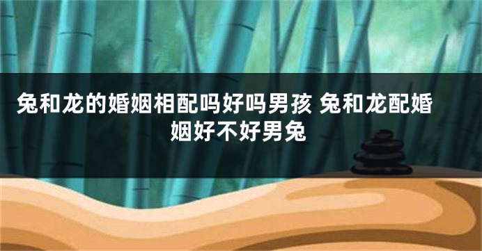 兔和龙的婚姻相配吗好吗男孩 兔和龙配婚姻好不好男兔