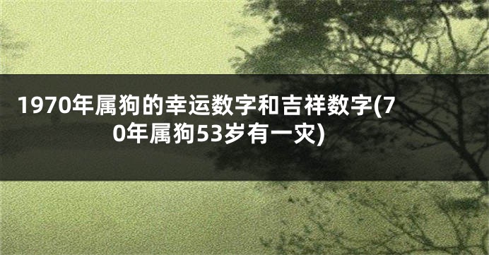 1970年属狗的幸运数字和吉祥数字(70年属狗53岁有一灾)