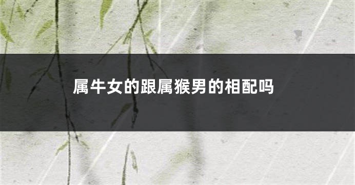 属牛女的跟属猴男的相配吗