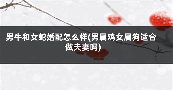 男牛和女蛇婚配怎么样(男属鸡女属狗适合做夫妻吗)
