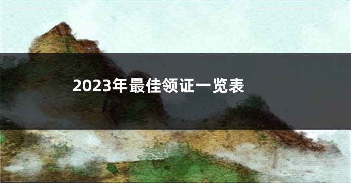 2023年最佳领证一览表