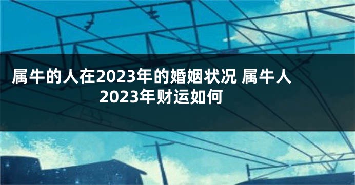属牛的人在2023年的婚姻状况 属牛人2023年财运如何