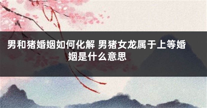 男和猪婚姻如何化解 男猪女龙属于上等婚姻是什么意思 