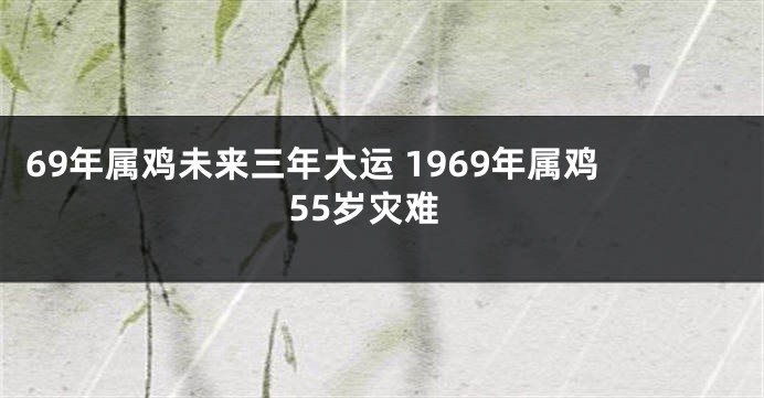 69年属鸡未来三年大运 1969年属鸡55岁灾难