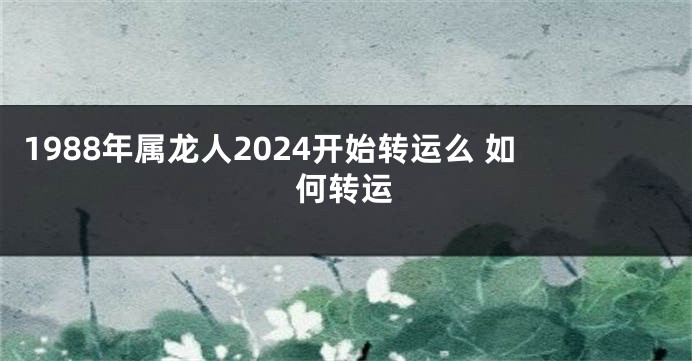 1988年属龙人2024开始转运么 如何转运