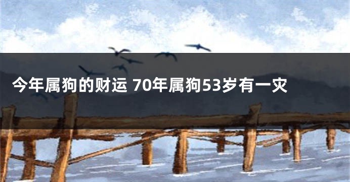 今年属狗的财运 70年属狗53岁有一灾