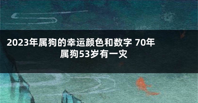 2023年属狗的幸运颜色和数字 70年属狗53岁有一灾