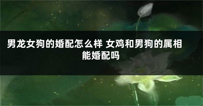 男龙女狗的婚配怎么样 女鸡和男狗的属相能婚配吗