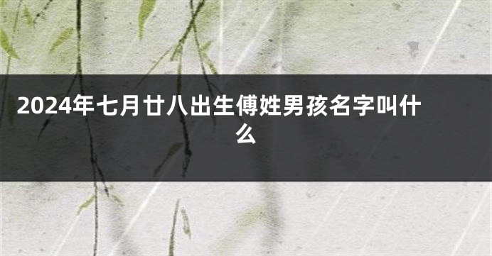 2024年七月廿八出生傅姓男孩名字叫什么