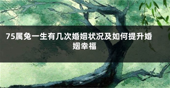 75属兔一生有几次婚姻状况及如何提升婚姻幸福