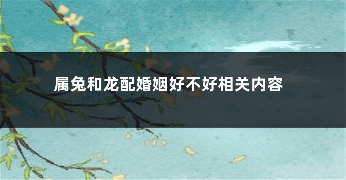 属兔和龙配婚姻好不好相关内容
