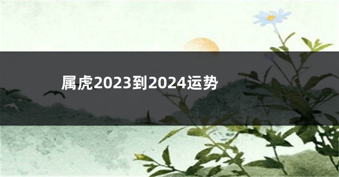 属虎2023到2024运势