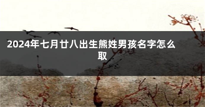 2024年七月廿八出生熊姓男孩名字怎么取