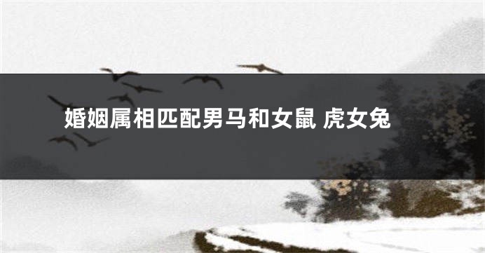 婚姻属相匹配男马和女鼠 虎女兔