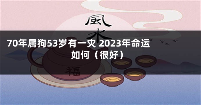 70年属狗53岁有一灾 2023年命运如何（很好）