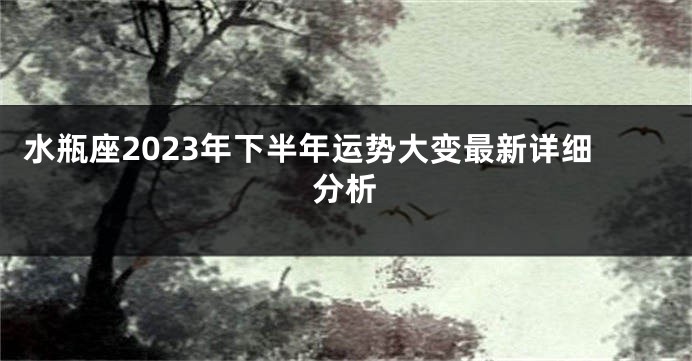 水瓶座2023年下半年运势大变最新详细分析