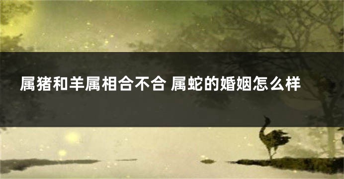 属猪和羊属相合不合 属蛇的婚姻怎么样