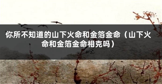 你所不知道的山下火命和金箔金命（山下火命和金箔金命相克吗）