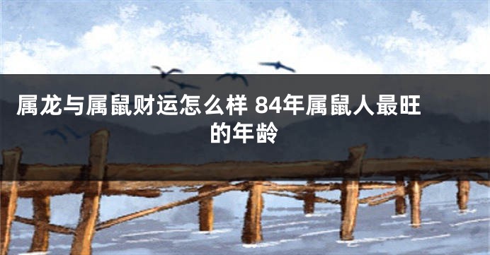 属龙与属鼠财运怎么样 84年属鼠人最旺的年龄