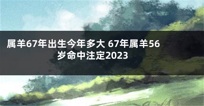 属羊67年出生今年多大 67年属羊56岁命中注定2023