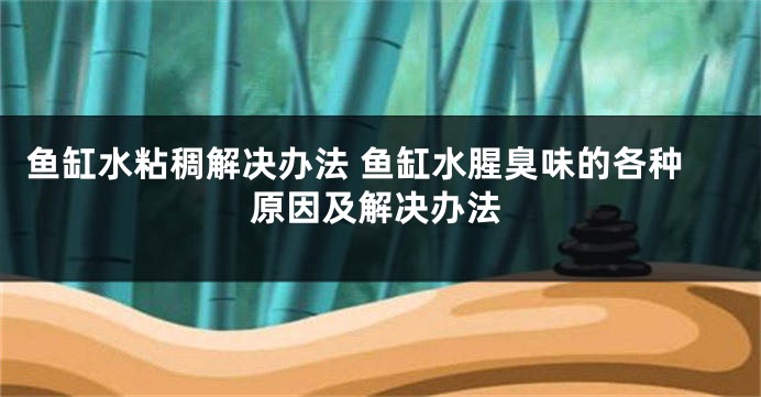鱼缸水粘稠解决办法 鱼缸水腥臭味的各种原因及解决办法