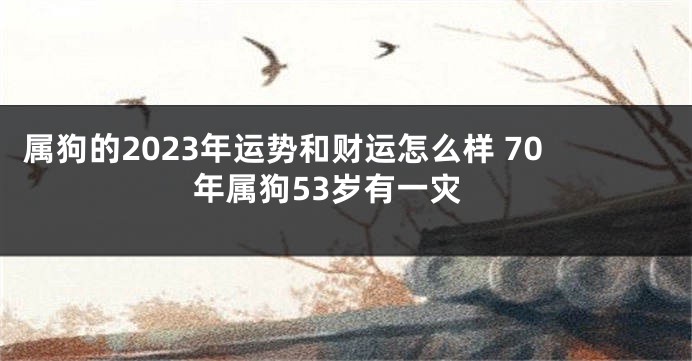 属狗的2023年运势和财运怎么样 70年属狗53岁有一灾