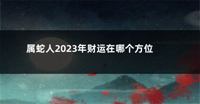 属蛇人2023年财运在哪个方位