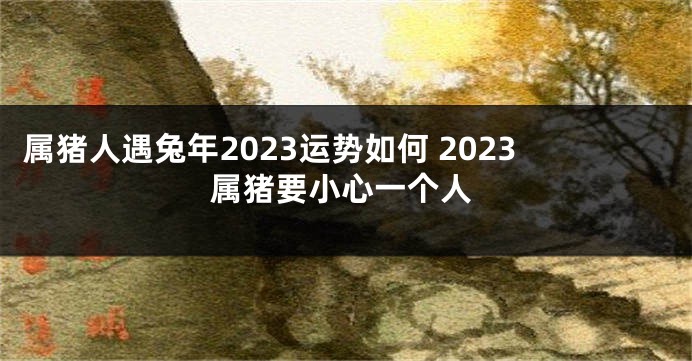 属猪人遇兔年2023运势如何 2023属猪要小心一个人
