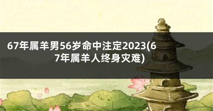 67年属羊男56岁命中注定2023(67年属羊人终身灾难)
