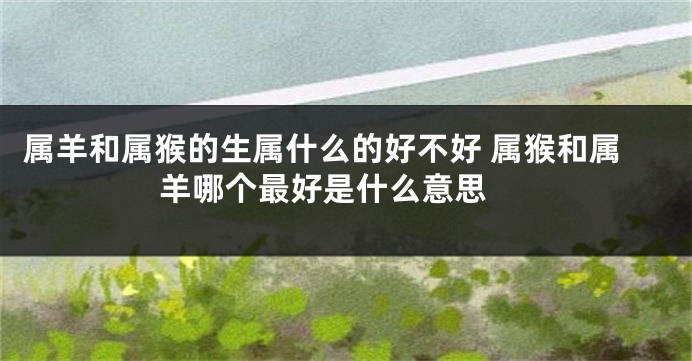 属羊和属猴的生属什么的好不好 属猴和属羊哪个最好是什么意思 