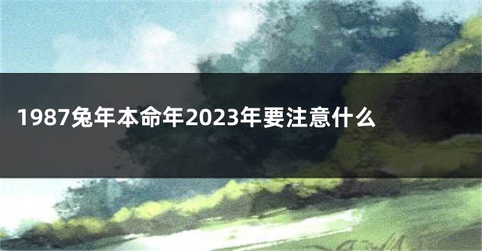 1987兔年本命年2023年要注意什么