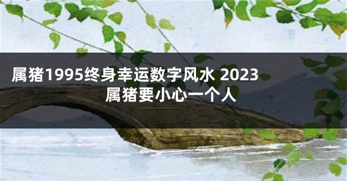 属猪1995终身幸运数字风水 2023属猪要小心一个人