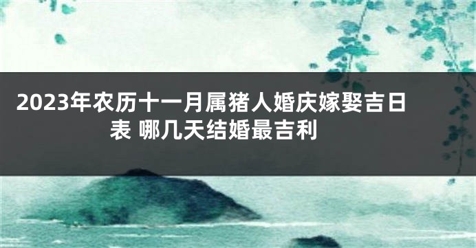 2023年农历十一月属猪人婚庆嫁娶吉日表 哪几天结婚最吉利 