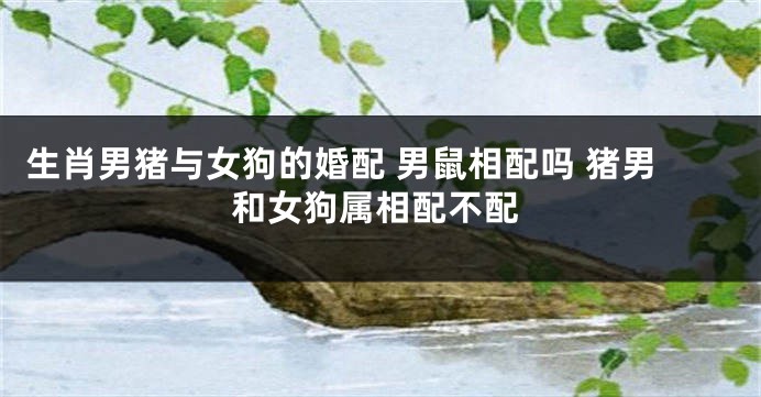 生肖男猪与女狗的婚配 男鼠相配吗 猪男和女狗属相配不配