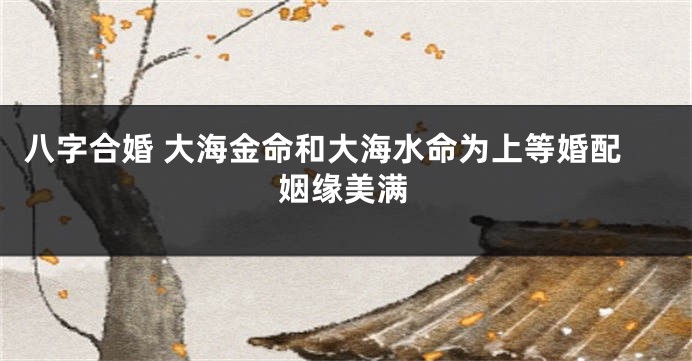 八字合婚 大海金命和大海水命为上等婚配姻缘美满