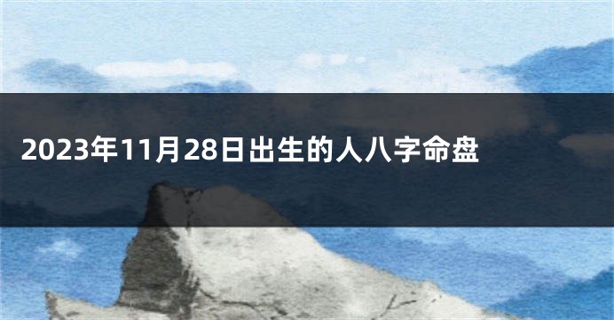 2023年11月28日出生的人八字命盘