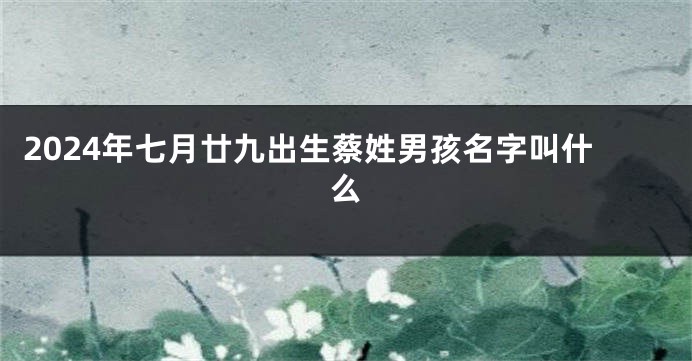 2024年七月廿九出生蔡姓男孩名字叫什么