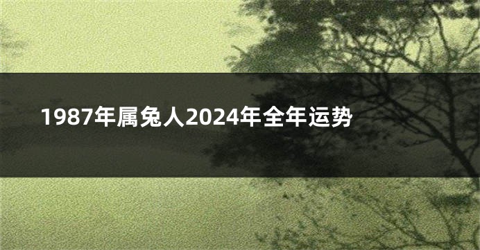 1987年属兔人2024年全年运势