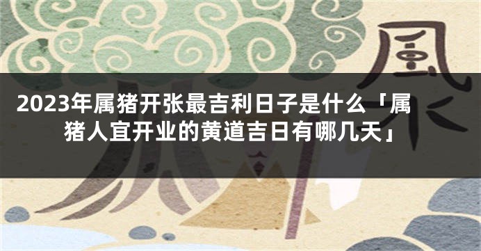 2023年属猪开张最吉利日子是什么「属猪人宜开业的黄道吉日有哪几天」