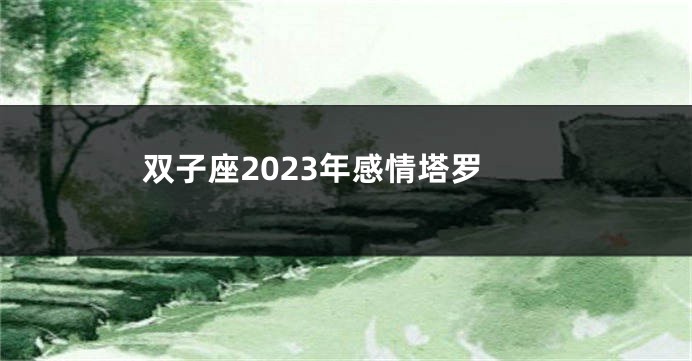 双子座2023年感情塔罗