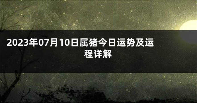 2023年07月10日属猪今日运势及运程详解