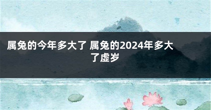 属兔的今年多大了 属兔的2024年多大了虚岁