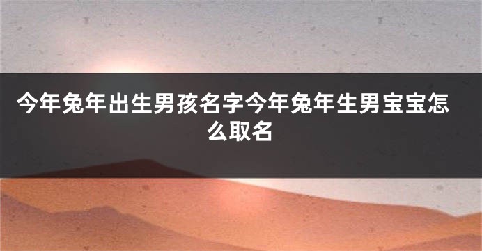 今年兔年出生男孩名字今年兔年生男宝宝怎么取名