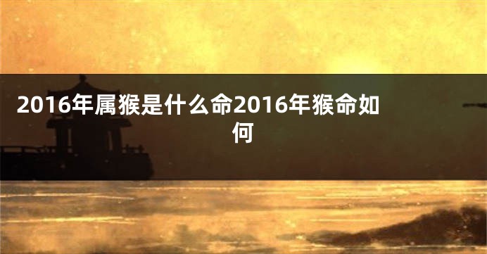 2016年属猴是什么命2016年猴命如何