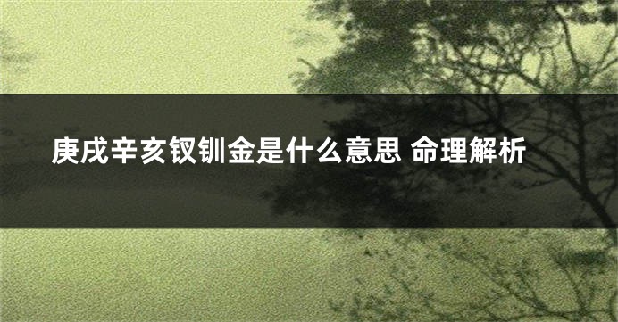 庚戌辛亥钗钏金是什么意思 命理解析