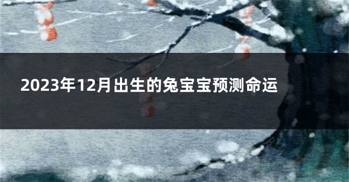 2023年12月出生的兔宝宝预测命运